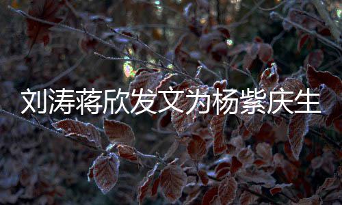 感情紫庆刘涛乐颂欢为杨蒋欣姐妹发文生 三深